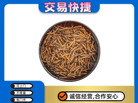 龙游县回收散虫草